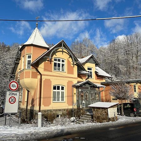 Apartmany Villa Magnolie Липова-Лазне Экстерьер фото