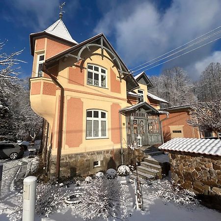Apartmany Villa Magnolie Липова-Лазне Экстерьер фото