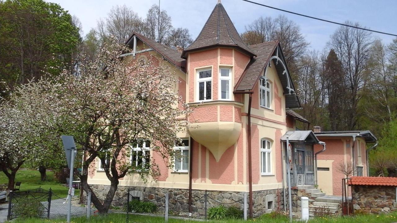 Apartmany Villa Magnolie Липова-Лазне Экстерьер фото